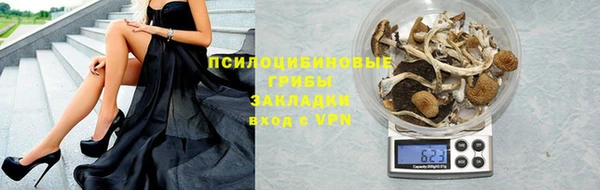 прущий лед Пересвет
