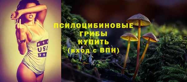 хмурый Переславль-Залесский