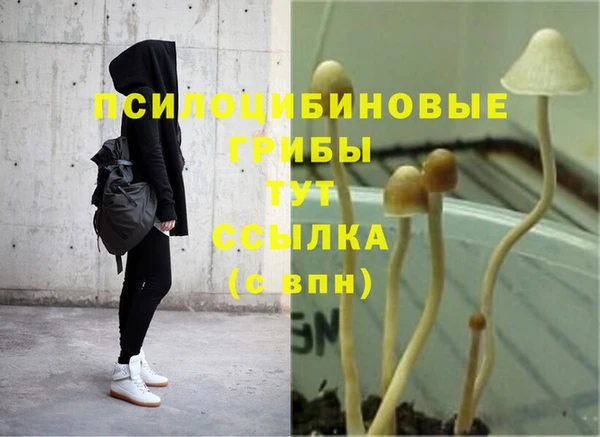 хмурый Переславль-Залесский